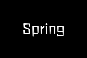 Spring Native与传统JVM运行环境的区别。